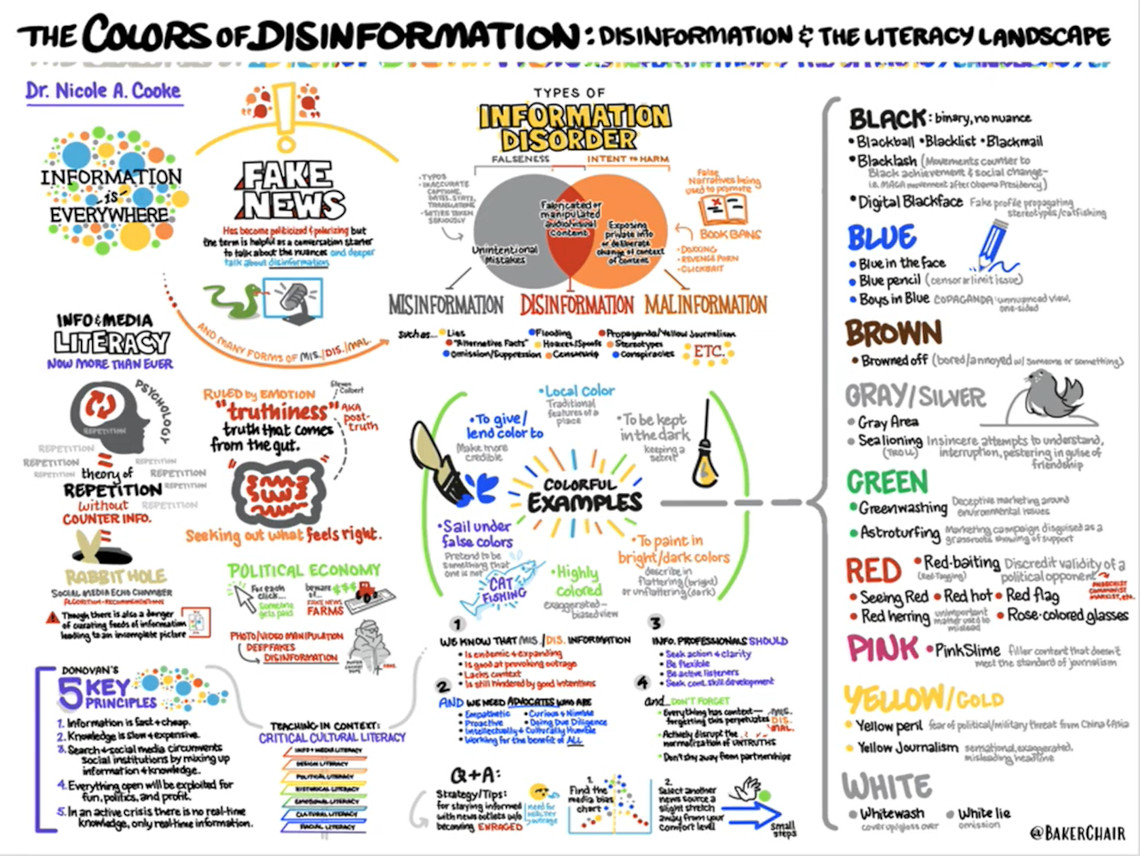 The Colors of Disinformation: Disinformation and the Literacy Landscape ...